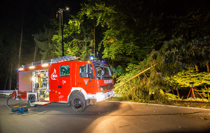 Pick-Up Truck im Wald gelandet - Bild 01_1