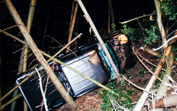 Pick-Up Truck im Wald gelandet - Bild 12_2
