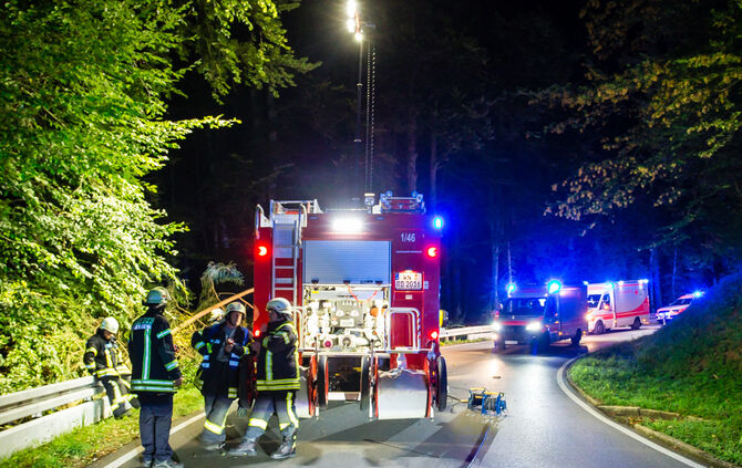Pick-Up Truck im Wald gelandet - Bild 03_3