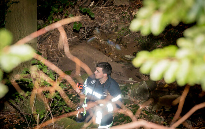 Pick-Up Truck im Wald gelandet - Bild 10_4