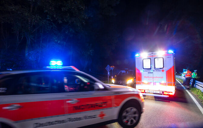 Pick-Up Truck im Wald gelandet - Bild 04_5