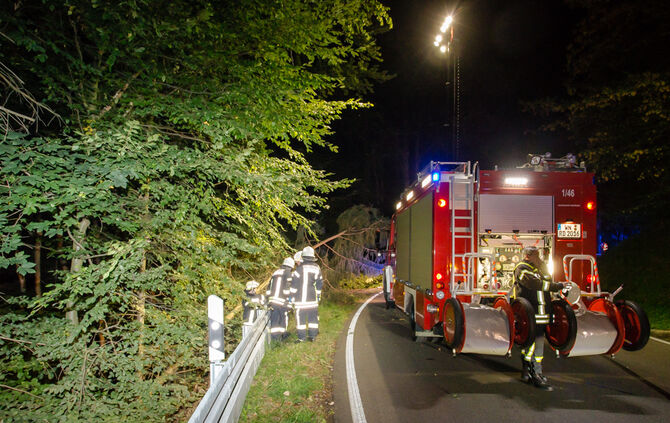 Pick-Up Truck im Wald gelandet - Bild 05_6