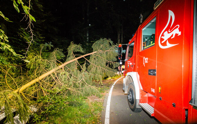 Pick-Up Truck im Wald gelandet - Bild 07_8