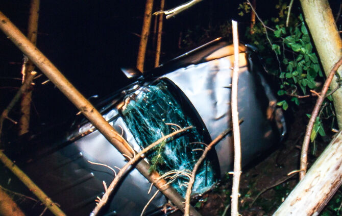 Pick-Up Truck im Wald gelandet - Bild 11_9