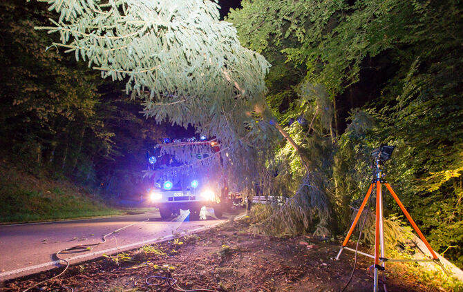Pick-Up Truck im Wald gelandet - Bild 08_10