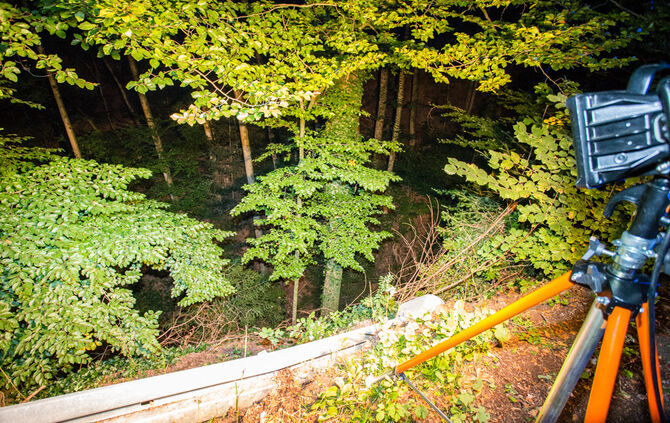 Pick-Up Truck im Wald gelandet - Bild 09_11
