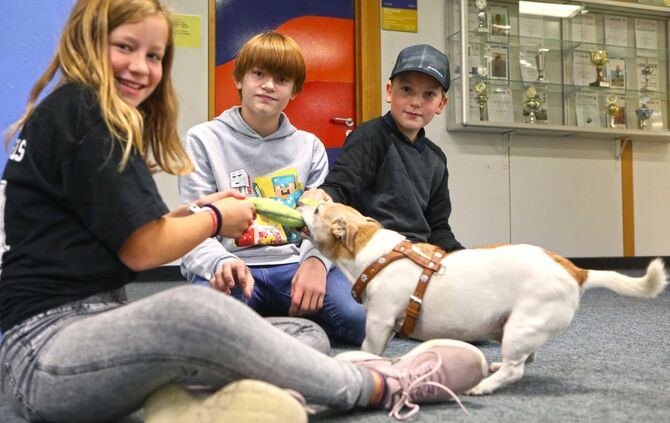 Schulhund Johnny macht gute Laune_0