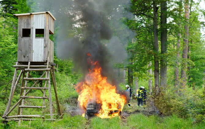 Fahrzeugbrand im Wald  - Bild 05_0