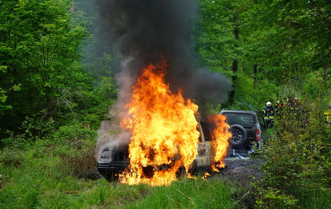 Fahrzeugbrand im Wald  - Bild 07_1