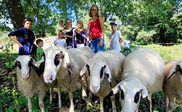 50df6275-e4b2-4149-bdb2-4b17a7256888.jpg_0