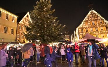 872967a8-2cc0-4a0b-ad69-278320b6f409.jpg_0