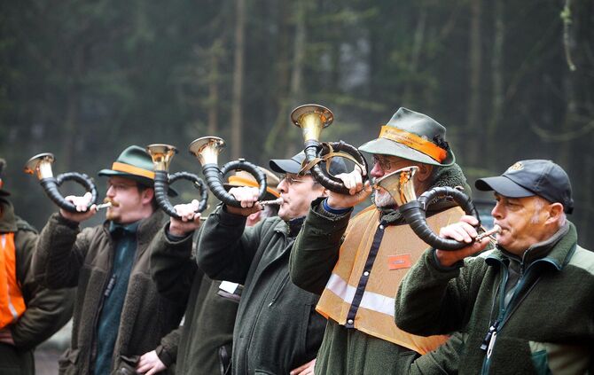 efc725f3-ba3f-45c6-9c23-9ac27a6120fe.jpg_0