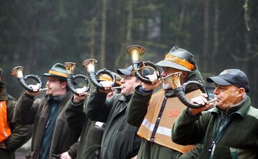 efc725f3-ba3f-45c6-9c23-9ac27a6120fe.jpg_0