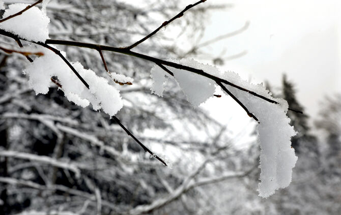 Symbolfotoschneefall