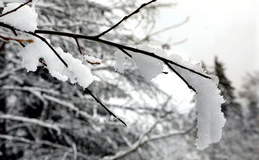 Symbolfotoschneefall