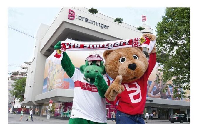 Panini-Album zum 125 jährigen Vereinsjubiläum_2