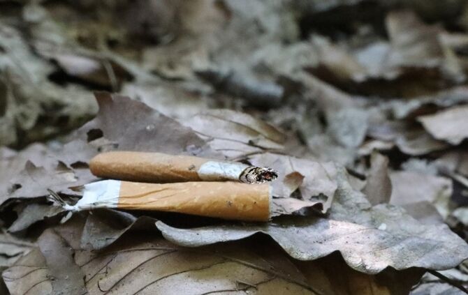 Zigarette Rauchen Rauchverbot