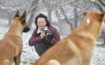 Tierfotografie Huber