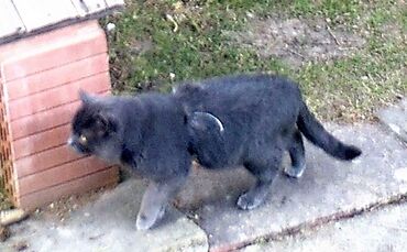 34b76120-49e7-4010-b9da-356932feb596.jpg_0