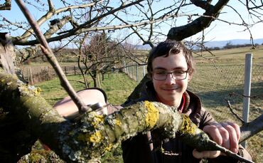 Marcel Schwegler Vorstand Gartenbauverein Obst Obstbaum_0