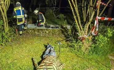 24417910-3777-4575-9663-273b8a15fd13.jpg_0