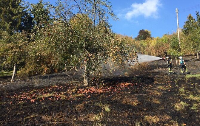 Flächenbrand Schorndorf_0