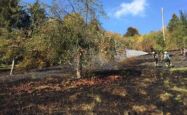 Flächenbrand Schorndorf_0