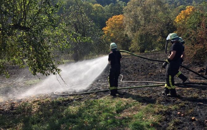 Flächenbrand Schorndorf_1