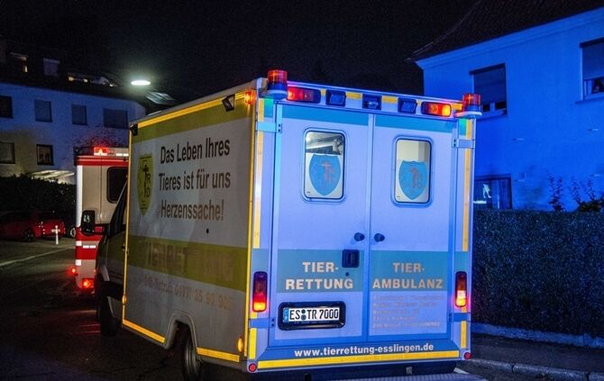 Gebäudevollbrand fordert Verletzte und zwei Tote Hunde - Bild 14_19