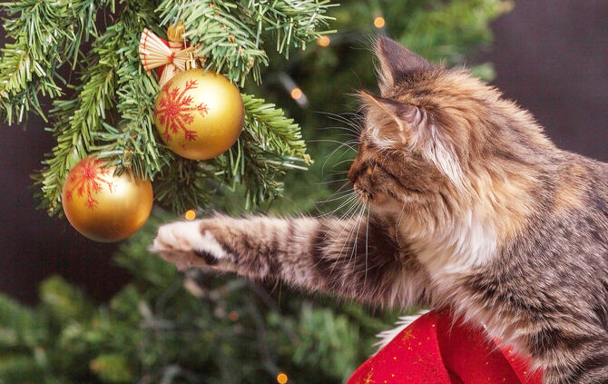 new-years-eve-1822979_1920