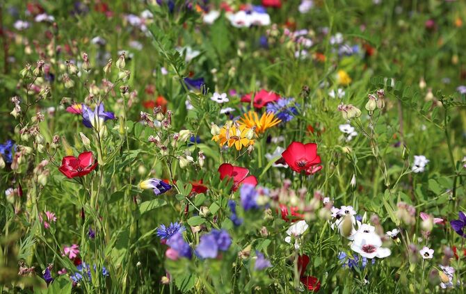 f2b5d1fc-cae5-4956-a5b9-a0d52f99eb11.jpg_0