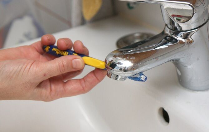 Hauswirtschaftmeisterin Elke Schulz und tipps zum putzen in Korb