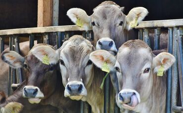 a18cd231-a2f4-4b5a-b488-5b5895c8993a.jpg_0