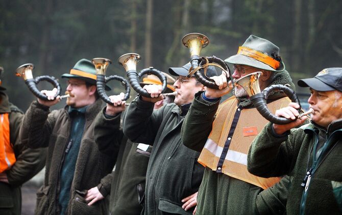 f7b8fd61-9299-4f00-a6ff-5f681fa1d9be.jpg_0