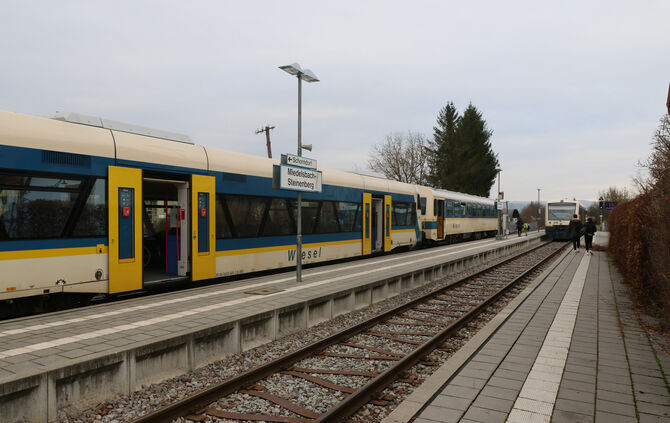 Wiesel