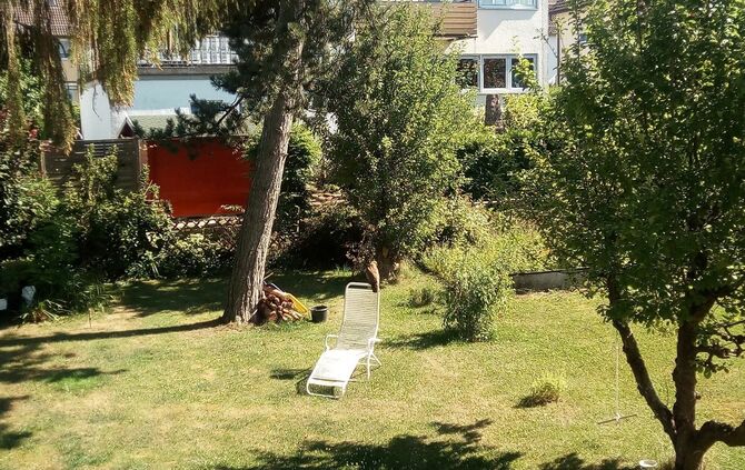 Bussarde Schorndorf 26.7.18_2