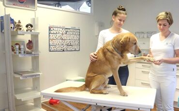 a309d76a-4e54-4870-a7e1-f3d9ed78e178.jpg_0