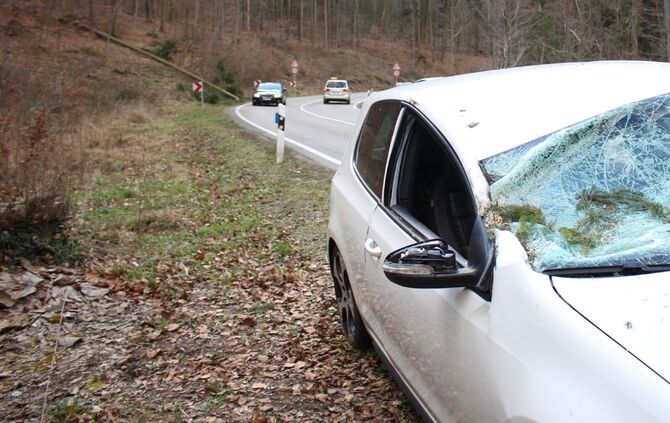 Allmersbach im Tal: Baum kracht auf Auto