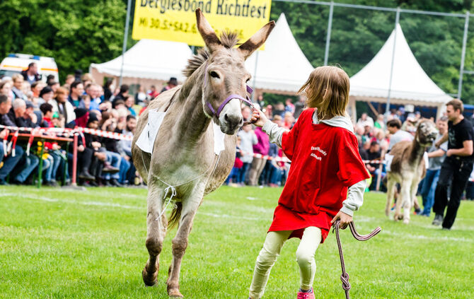 Eselrennen Hößlinswart_0