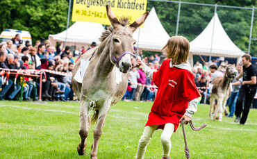 Eselrennen Hößlinswart_0