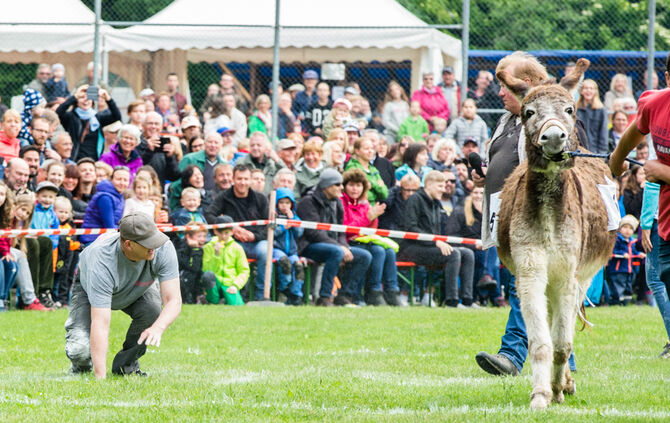 Eselrennen Hößlinswart_8