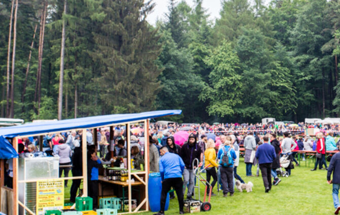 Eselrennen Hößlinswart_9