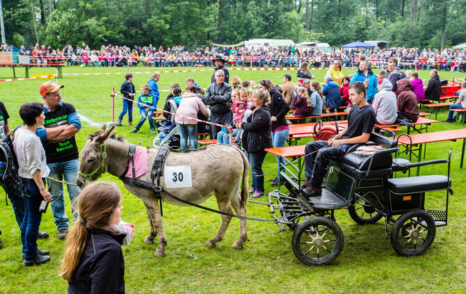 Eselrennen Hößlinswart_13