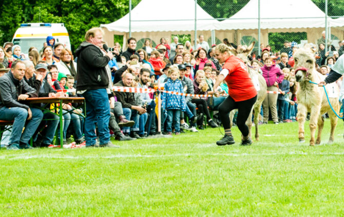 Eselrennen Hößlinswart_24