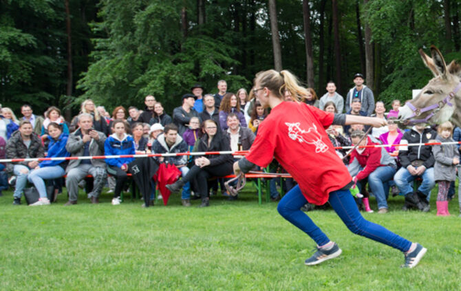 Eselrennen Hößlinswart_28