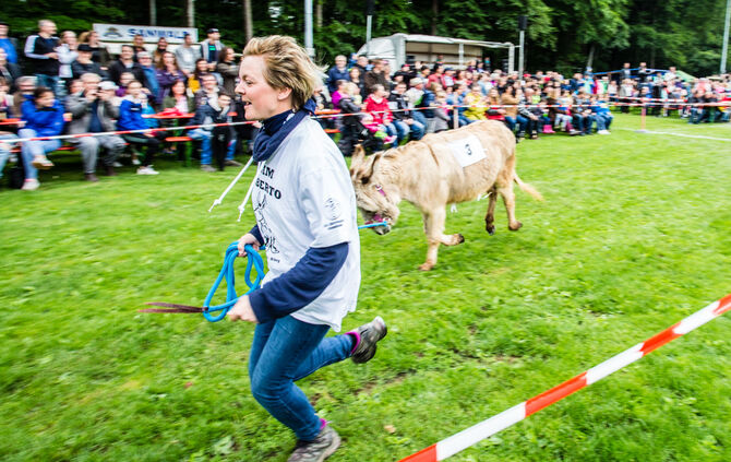 Eselrennen Hößlinswart_37
