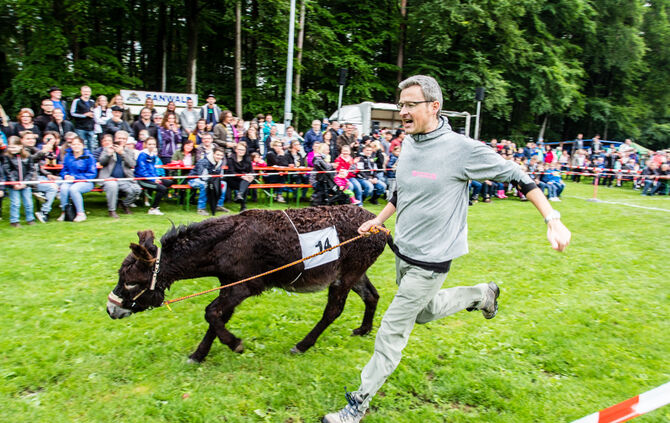 Eselrennen Hößlinswart_38