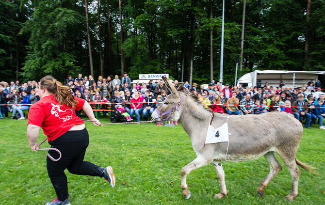 Eselrennen Hößlinswart_41