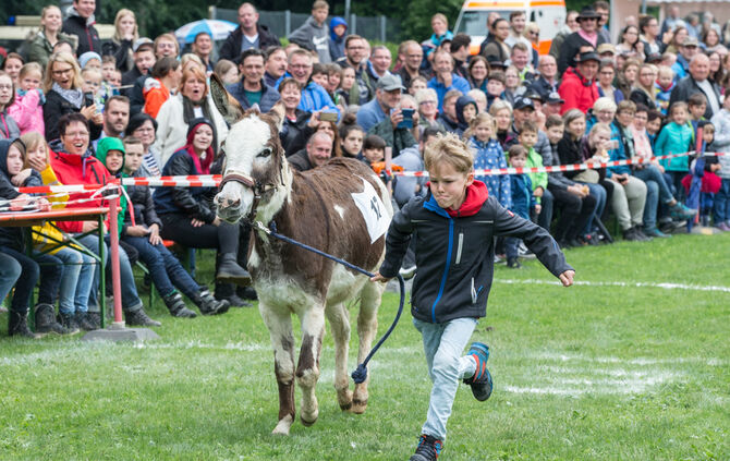 Eselrennen Hößlinswart_44