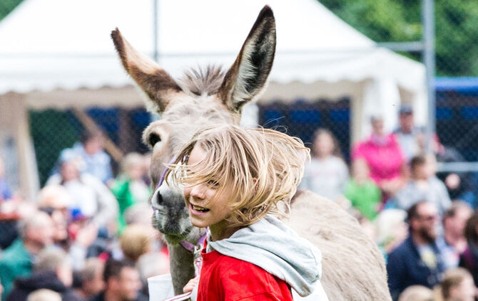 Eselrennen Hößlinswart_45